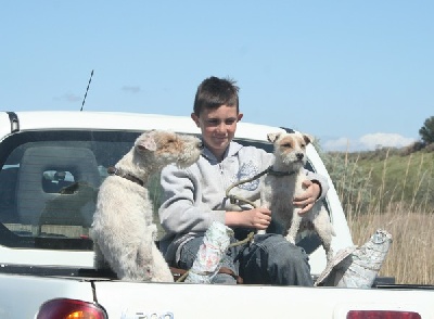 De la forge saint eloi - Terrier Naturel sur ragondins du 21/04/2012